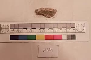 Stucco Fragment by Unknown Artist
