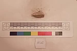 Stucco Fragment by Unknown Artist
