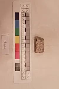 Stucco Fragment by Unknown Artist