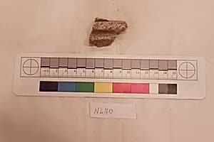 Stucco Fragment by Unknown Artist