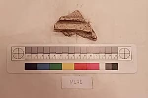 Stucco Fragment by Unknown Artist