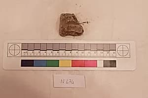 Stucco Fragment by Unknown Artist