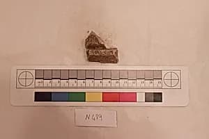 Stucco Fragment by Unknown Artist