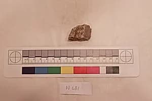 Stucco Fragment by Unknown Artist
