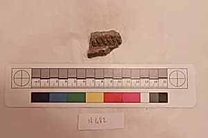 Stucco Fragment by Unknown Artist