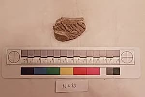 Stucco Fragment by Unknown Artist