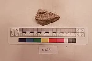 Stucco Fragment by Unknown Artist