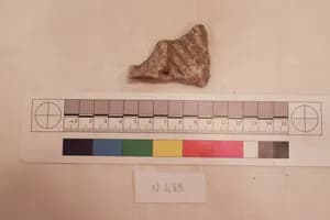 Stucco Fragment by Unknown Artist