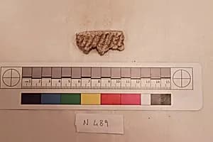 Stucco Fragment by Unknown Artist
