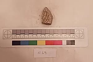 Stucco Fragment by Unknown Artist