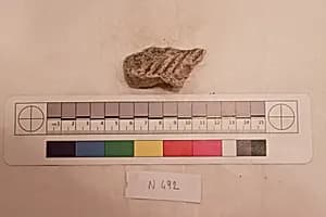 Stucco Fragment by Unknown Artist