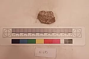 Stucco Fragment by Unknown Artist