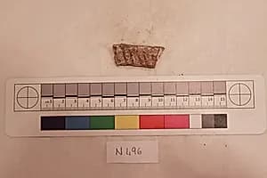 Stucco Fragment by Unknown Artist