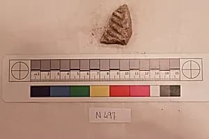 Stucco Fragment by Unknown Artist