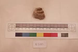 Stucco Fragment by Unknown Artist