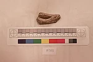 Stucco Fragment by Unknown Artist
