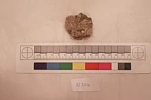 Stucco Fragment by Unknown Artist