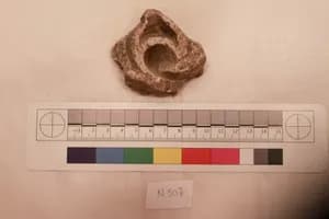 Stucco Fragment by Unknown Artist