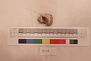 Stucco Fragment by Unknown Artist