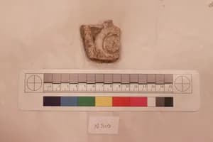 Stucco Fragment by Unknown Artist