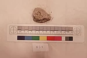 Stucco Fragment by Unknown Artist