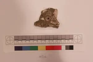 Stucco Fragment by Unknown Artist