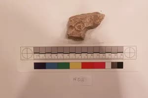 Stucco Fragment by Unknown Artist