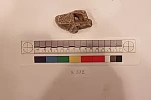 Stucco Fragment by Unknown Artist