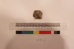 Stucco Fragment by Unknown Artist