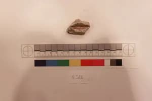 Stucco Fragment by Unknown Artist