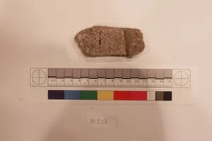 Stucco Fragment by Unknown Artist