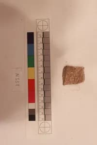 Stucco Fragment by Unknown Artist