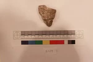 Stucco Fragment by Unknown Artist