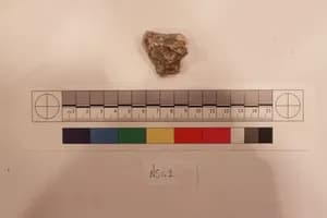 Stucco Fragment by Unknown Artist