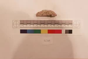 Stucco Fragment by Unknown Artist
