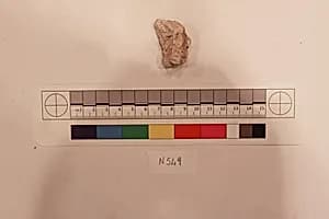Stucco Fragment by Unknown Artist