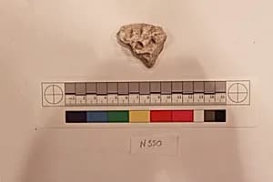 Stucco Fragment by Unknown Artist