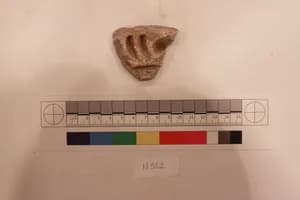 Stucco Fragment by Unknown Artist