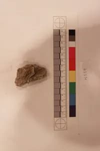 Stucco Fragment by Unknown Artist
