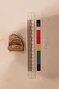 Stucco Fragment by Unknown Artist