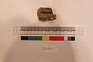 Stucco Fragment by Unknown Artist