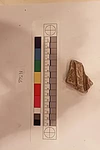 Stucco Fragment by Unknown Artist