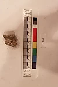 Stucco Fragment by Unknown Artist