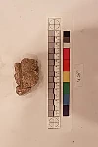 Stucco Fragment by Unknown Artist