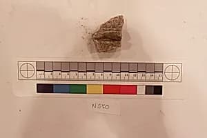Stucco Fragment by Unknown Artist