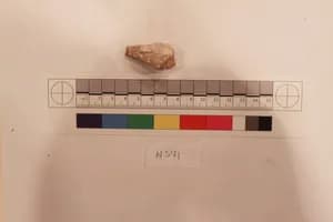 Stucco Fragment by Unknown Artist