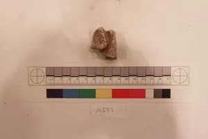 Stucco Fragment by Unknown Artist