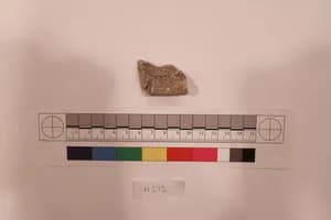 Stucco Fragment by Unknown Artist
