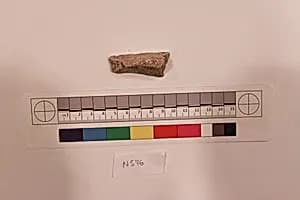 Stucco Fragment by Unknown Artist