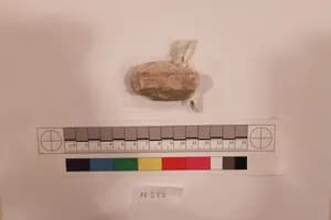 Stucco Fragment by Unknown Artist